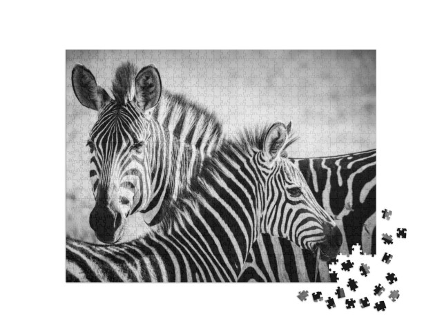 Puzzle de 1000 pièces « Une mère zèbre et son petit dans le parc national du Serengeti »