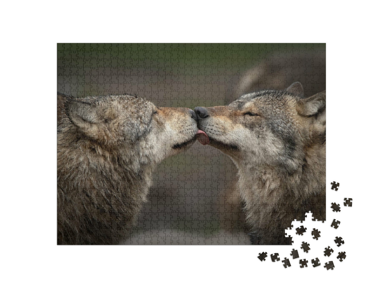Puzzle de 1000 pièces « La confiance entre les loups »
