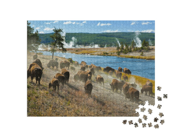 Puzzle de 1000 pièces « Eine Bisonherde am Firehole River im Yellowstone Nationalpark »