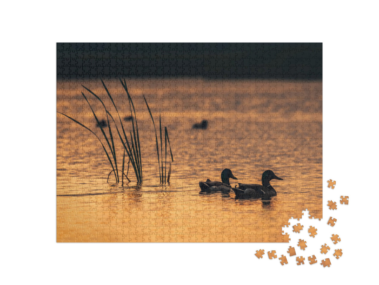 Puzzle de 1000 pièces « Canards dans l'eau du lac au lever du soleil »