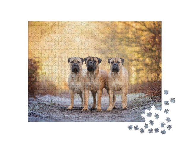 Puzzle de 1000 pièces « Trois bullmastiffs par un matin glacial »