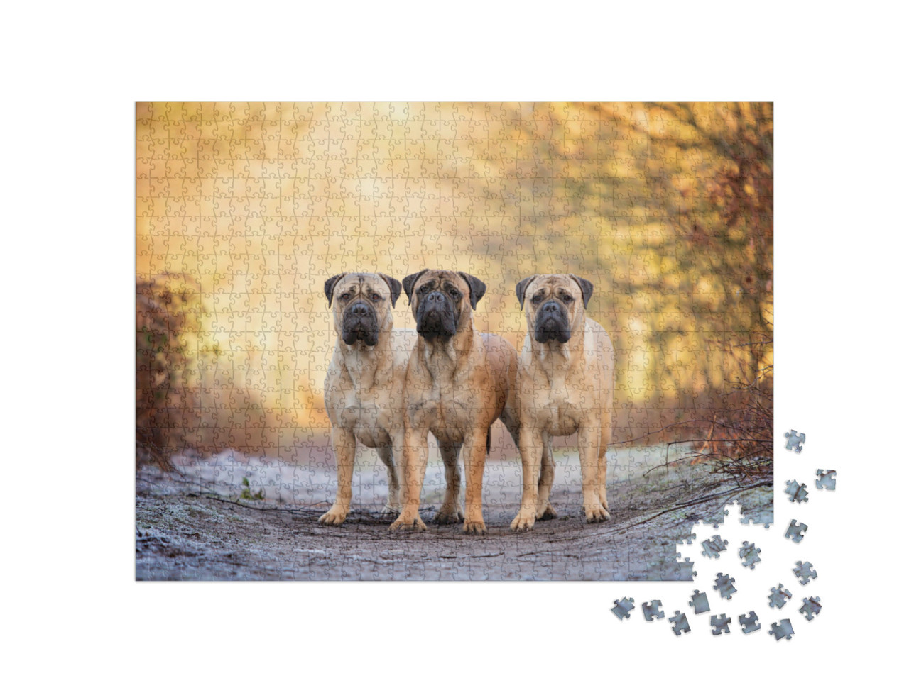 Puzzle de 1000 pièces « Trois bullmastiffs par un matin glacial »