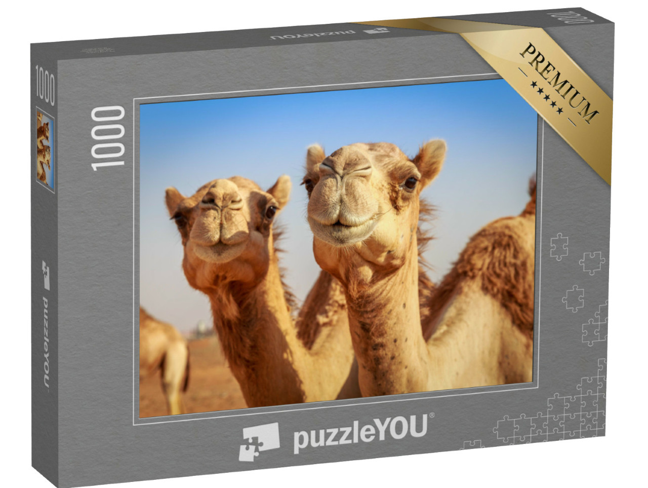 Puzzle de 1000 pièces « Chameaux en liberté en Arabie »
