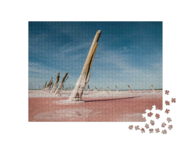 Puzzle de 1000 pièces « Salinas Grande, La Pampa, Argentine »
