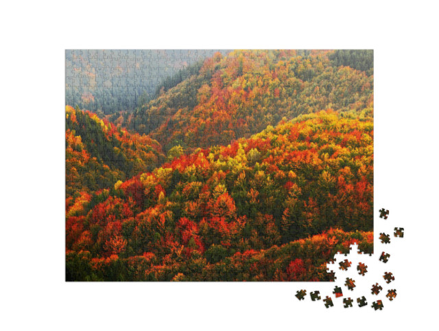 Puzzle de 1000 pièces « Automne dans le parc national de la Suisse tchèque, République tchèque »