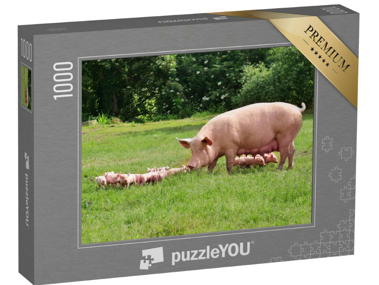 Puzzle de 1000 pièces « Truie mère avec porcelets dans une prairie verte »