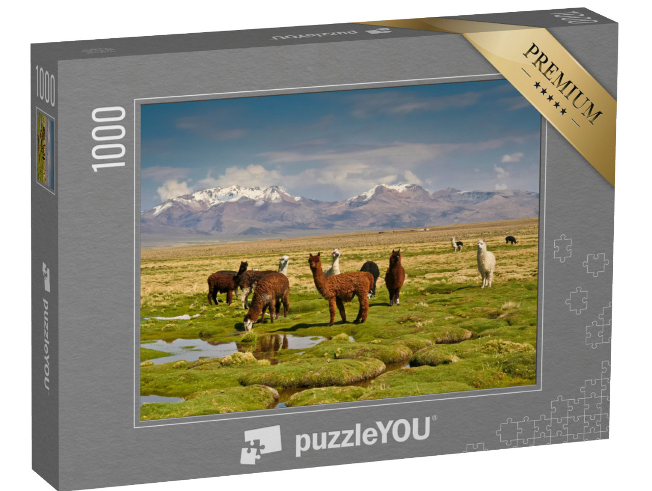 Puzzle de 1000 pièces « Les lamas dans les Andes »