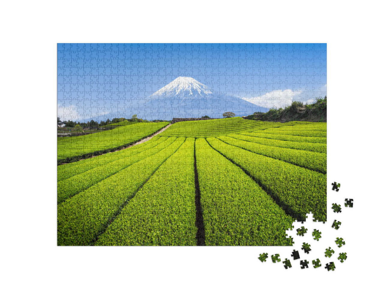 Puzzle de 1000 pièces « Mont Fuji avec plantation de thé vert, préfecture de Shizuoka, Japon »