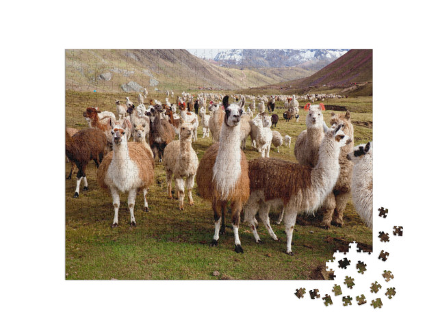 Puzzle de 1000 pièces « Llamas et alpagas du Pérou »