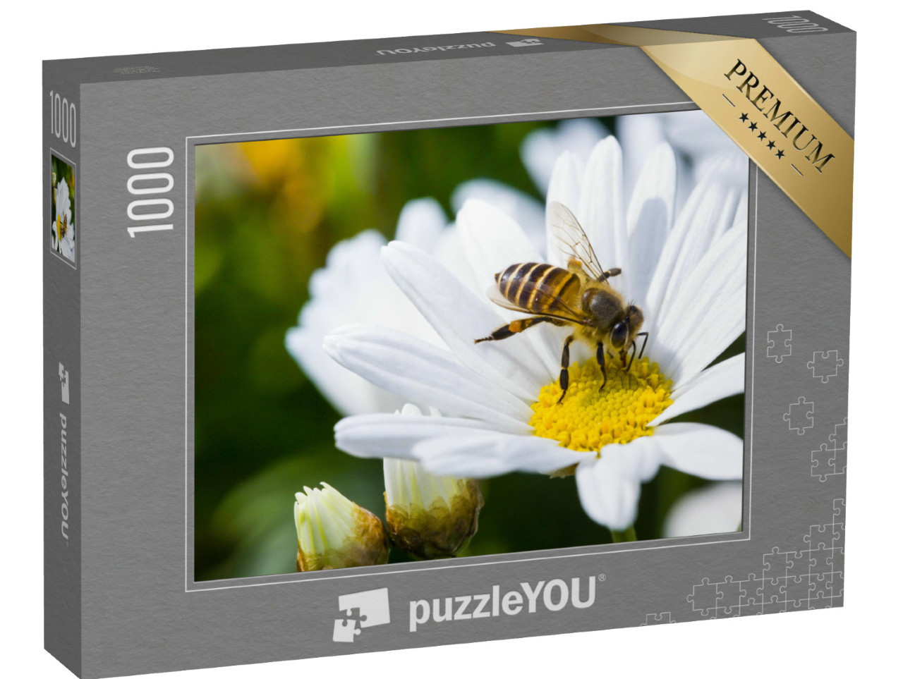 Puzzle de 1000 pièces « Pâquerette et abeille au printemps »