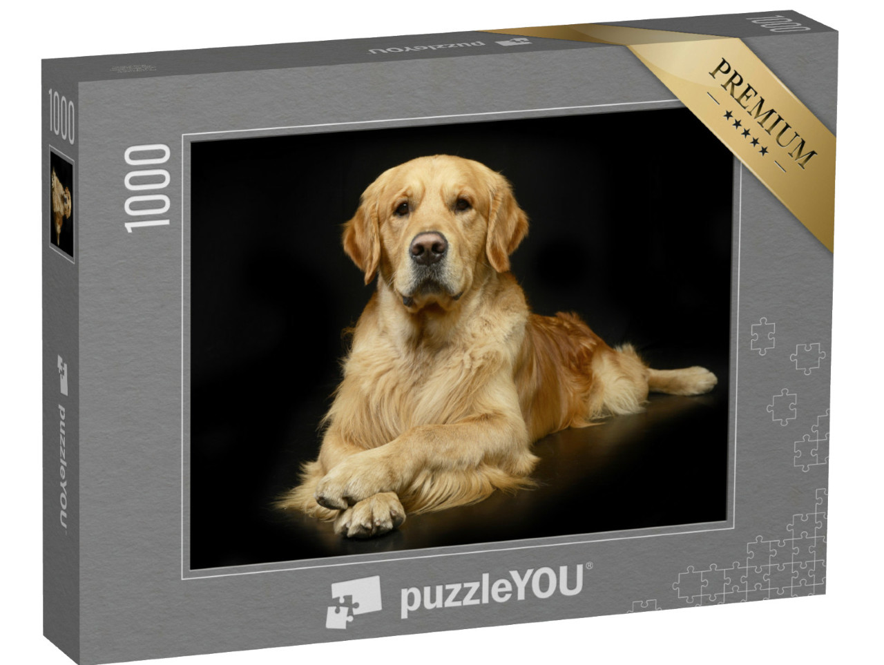 Puzzle de 1000 pièces « Golden retriever dans une pose photo parfaite »