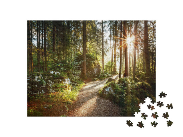 Puzzle de 500 pièces « Paysage et chemin à travers la forêt au soleil du matin »