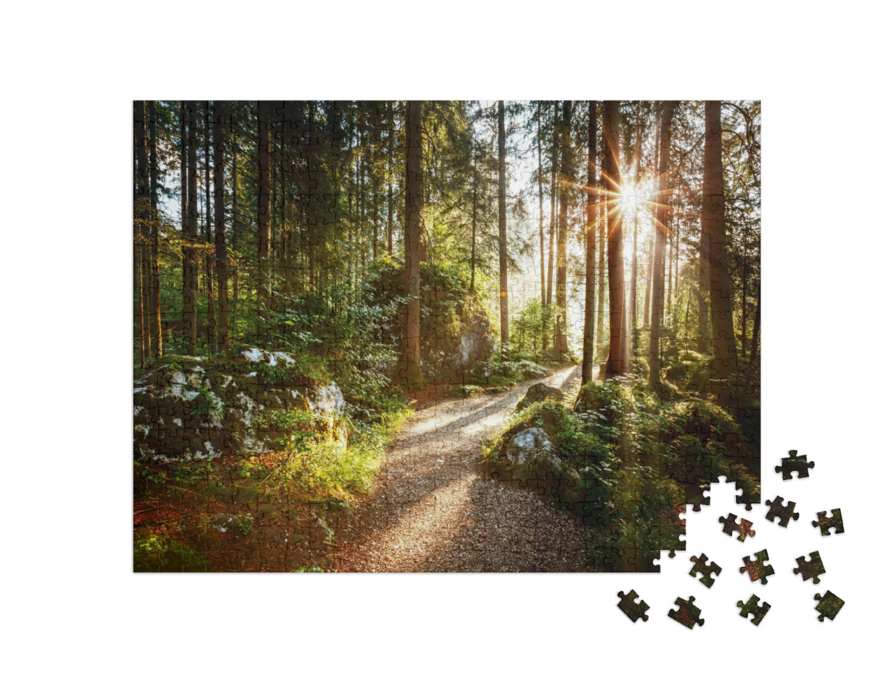 Puzzle de 500 pièces « Paysage et chemin à travers la forêt au soleil du matin »