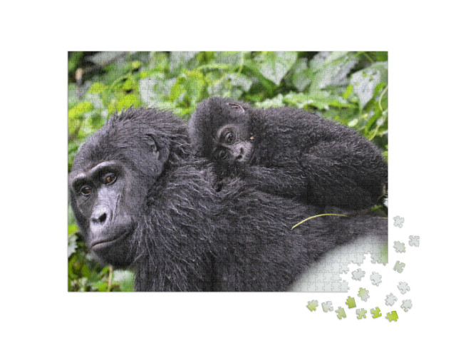 Puzzle de 1000 pièces « Bébé gorille couché sur le dos de sa mère dans la forêt de Bwindi Impenetrable »