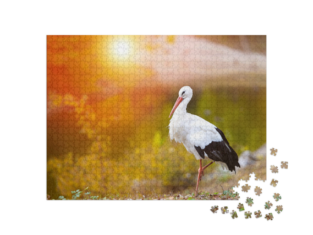Puzzle de 1000 pièces « Cigogne blanche au crépuscule »