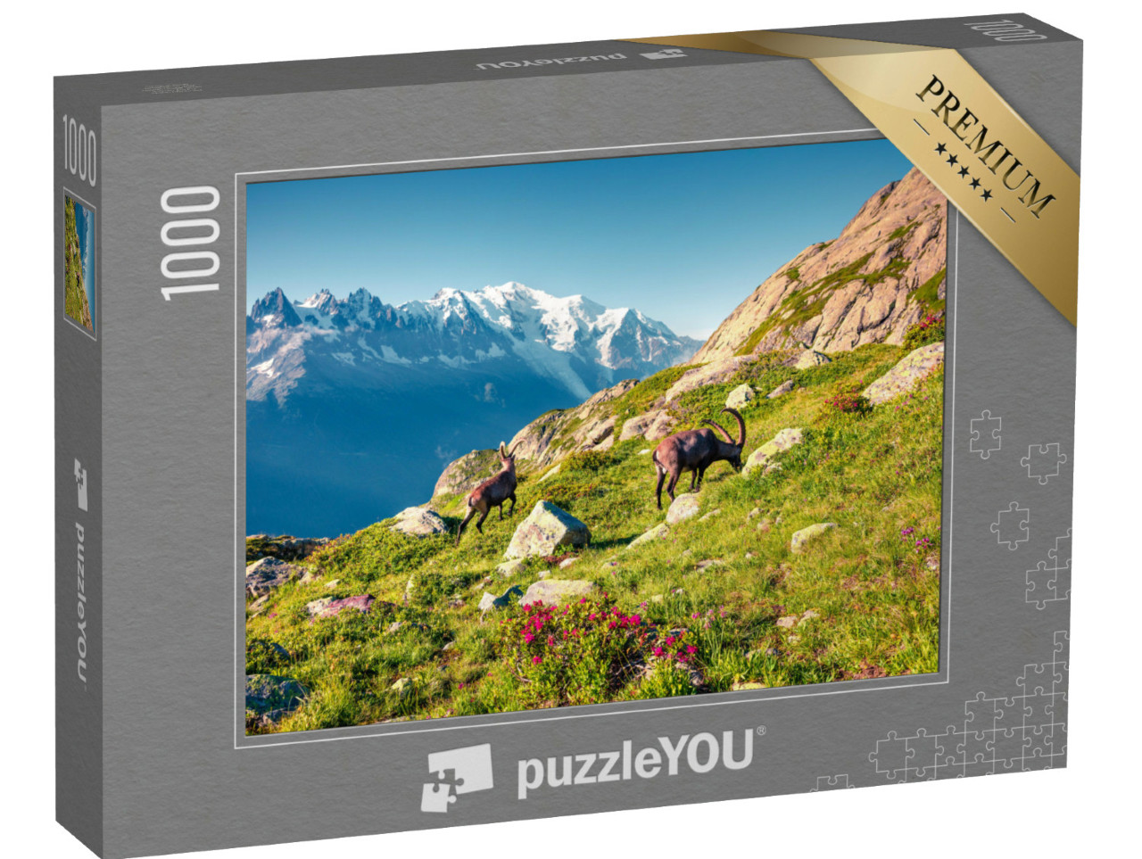 Puzzle de 1000 pièces « Bouquetin des Alpes sur fond de Mont-Blanc dans le parc naturel du Vallon de Bérard, Chamonix, Alpes grises »