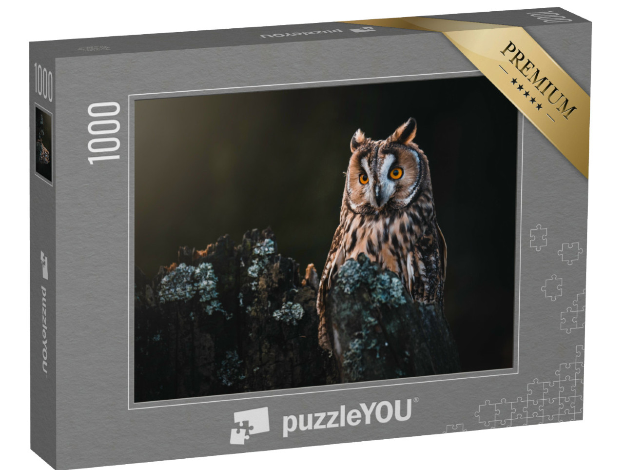 Puzzle de 1000 pièces « Hibou moyen-duc Asio otus, perché sur un arbre sec »