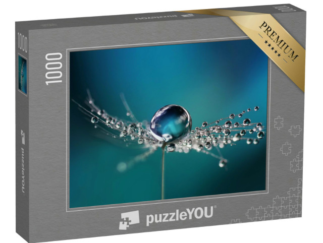 Puzzle de 1000 pièces « Gouttes de rosée sur une graine de pissenlit »