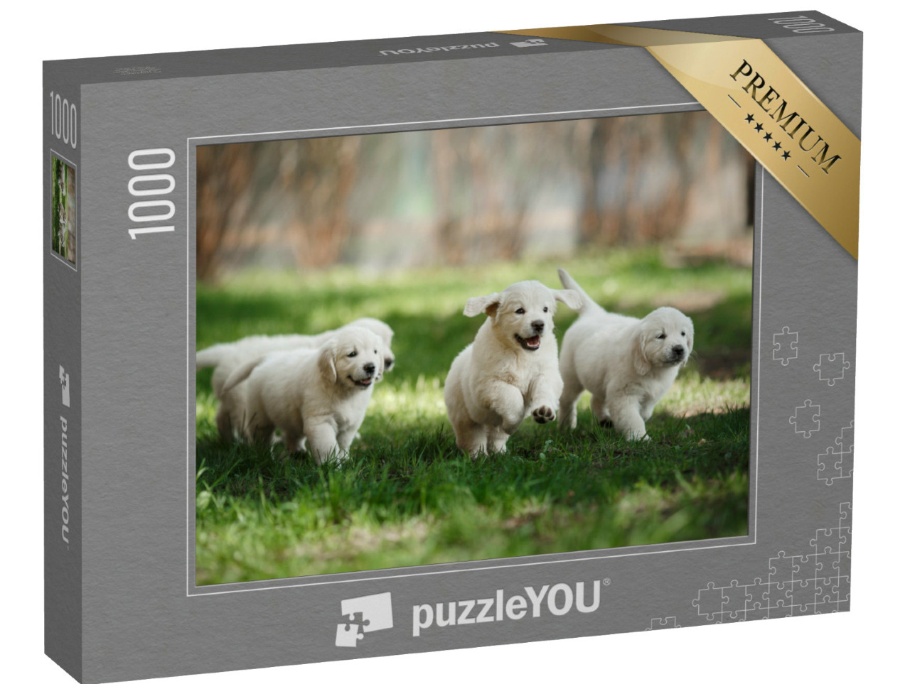 Puzzle de 1000 pièces « Chiots Golden Retriever dans le parc »