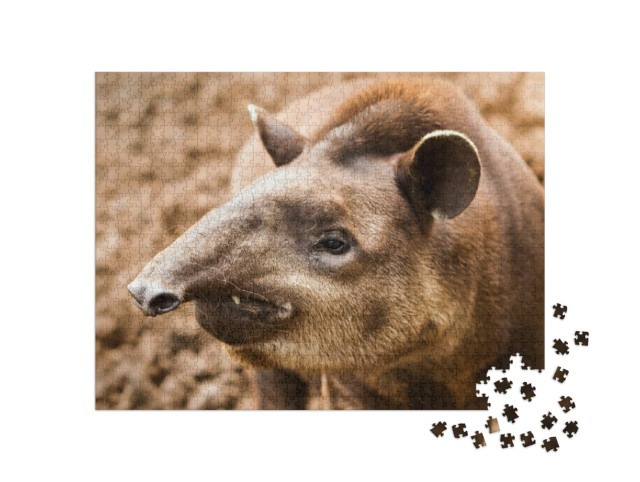 Puzzle de 1000 pièces « Gros plan sur un tapir en Équateur »