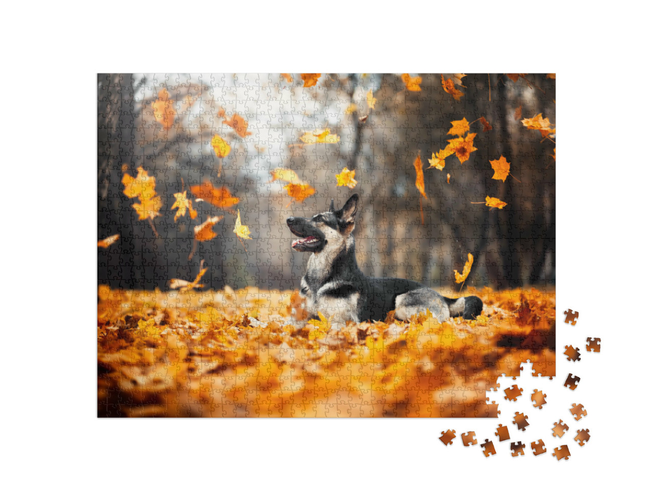 Puzzle de 1000 pièces « Chien de berger dans les feuilles d'automne tourbillonnantes »