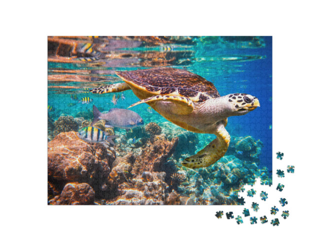 Puzzle de 1000 pièces « Tortue imbriquée dans le récif corallien »