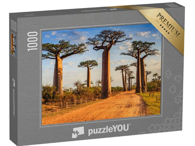 Puzzle de 1000 pièces « Des baobabs uniques dans l'allée des baobabs, Madagascar »