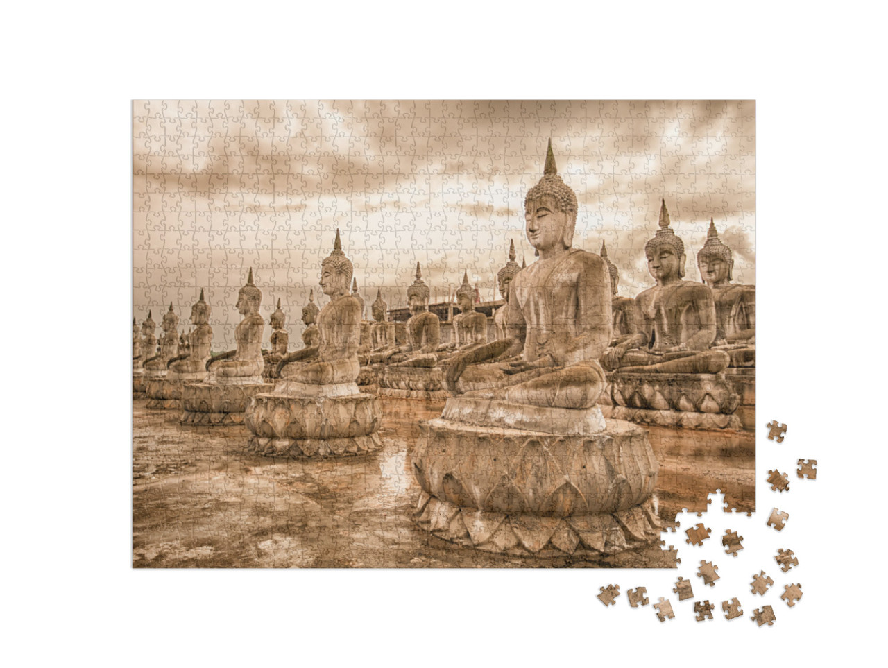 Puzzle de 1000 pièces « Parc du Bouddha »