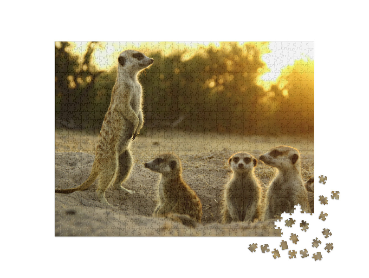 Puzzle de 1000 pièces « Suricates dans leur habitat naturel »