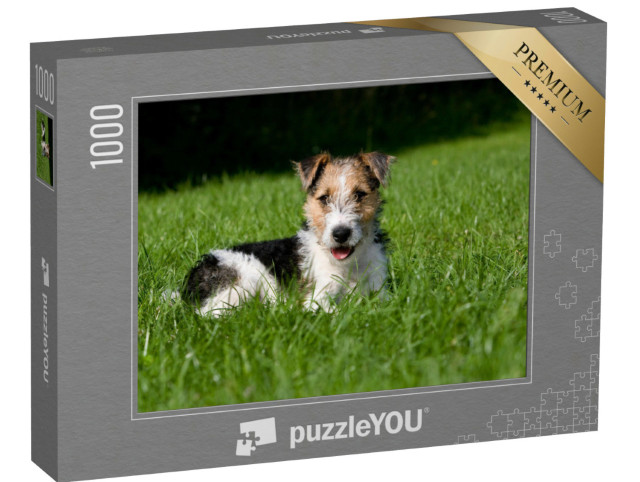 Puzzle de 1000 pièces « Chiot fox-terrier à poil dur dans l'herbe »