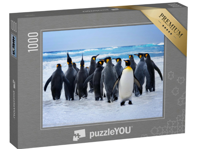 Puzzle de 1000 pièces « Manchots royaux en route vers l'eau aux îles Falkland »
