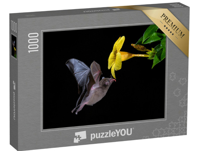 Puzzle de 1000 pièces « Chauve-souris à longue queue de Pallas se nourrissant de nectar de fleurs »