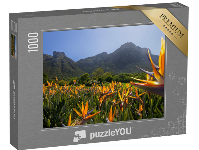 Puzzle de 1000 pièces « Fleurs de strelitzia dans les jardins de Kirstenbosch »