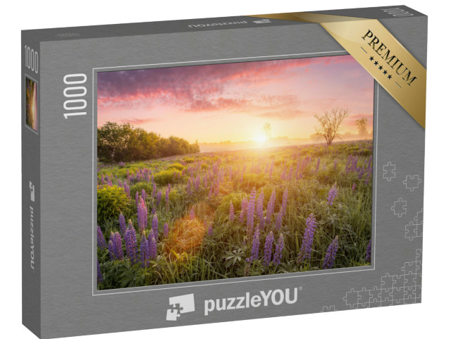 Puzzle de 1000 pièces « Rayons de soleil au-dessus d'une prairie de lupins en fleurs »