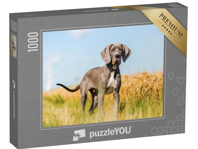 Puzzle de 1000 pièces « Portrait d'un chiot dogue allemand debout sur un chemin de campagne »