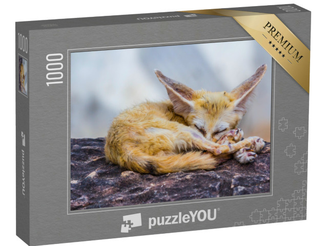 Puzzle de 1000 pièces « Petit renard fennec endormi »