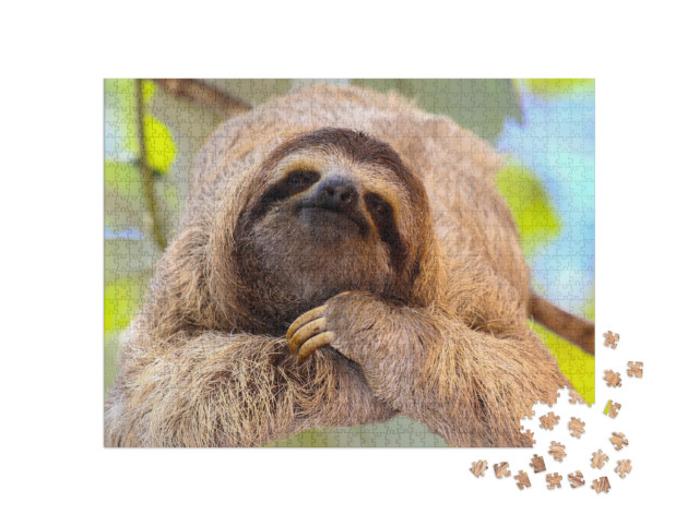 Puzzle de 1000 pièces « Paresseux satisfait »