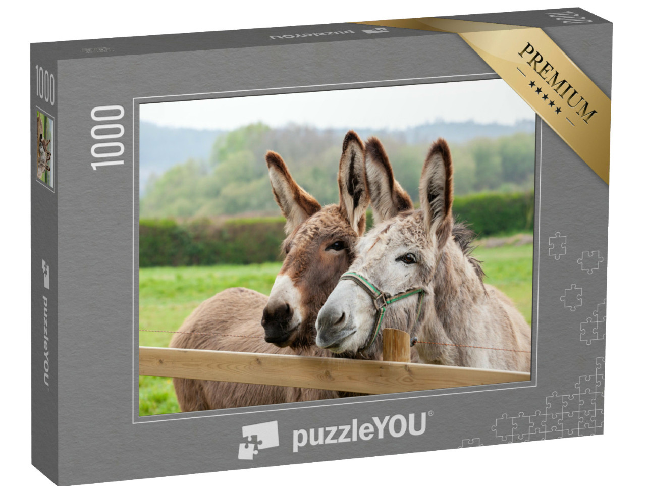 Puzzle de 1000 pièces « Famille d'ânes en plein air dans la prairie »