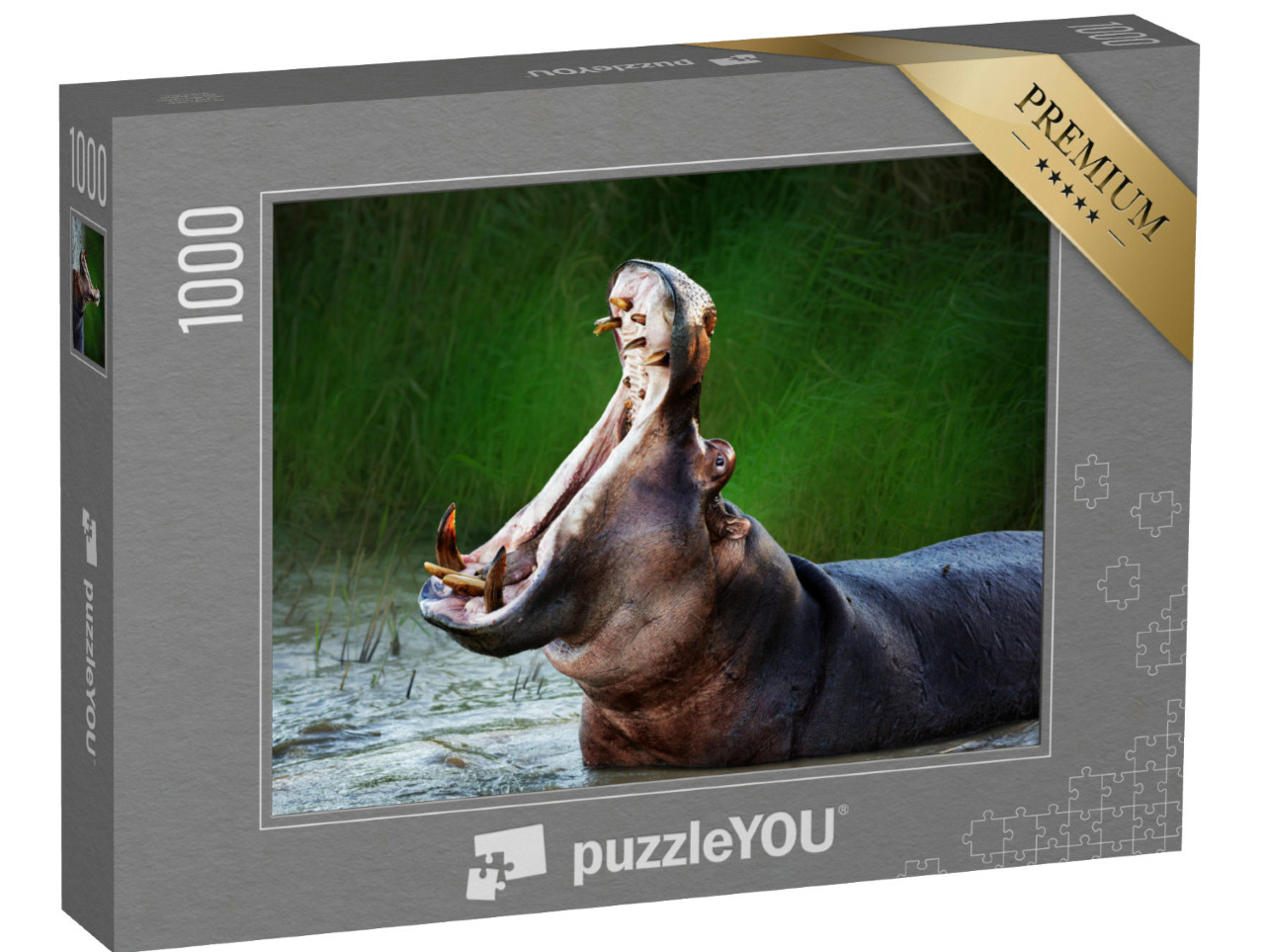 Puzzle de 1000 pièces « Hippopotame à gueule ouverte »