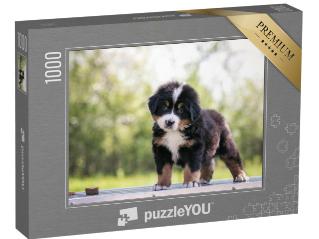 Puzzle de 1000 pièces « Adorable bouvier bernois chiot »