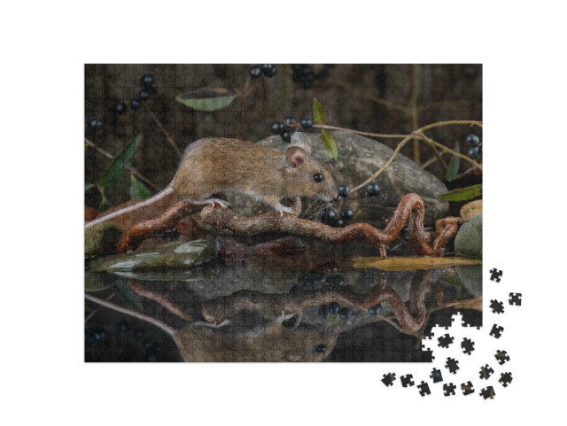 Puzzle de 1000 pièces « Mausi à la découverte »