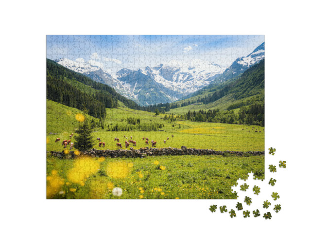 Puzzle de 1000 pièces « Paysage alpin rural avec des vaches, Parc national Hohe Tauern »