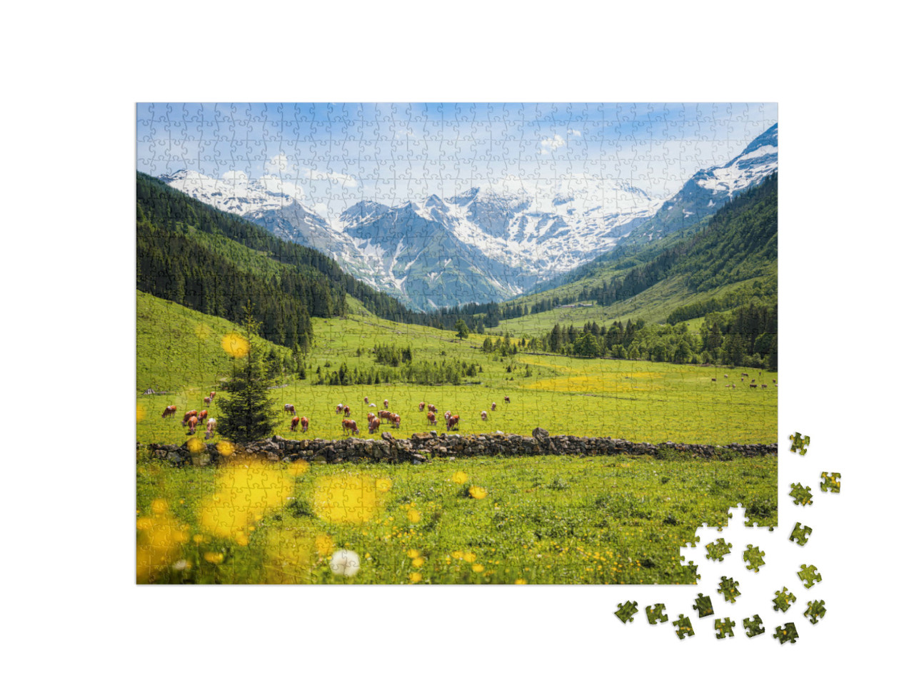 Puzzle de 1000 pièces « Paysage alpin rural avec des vaches, Parc national Hohe Tauern »