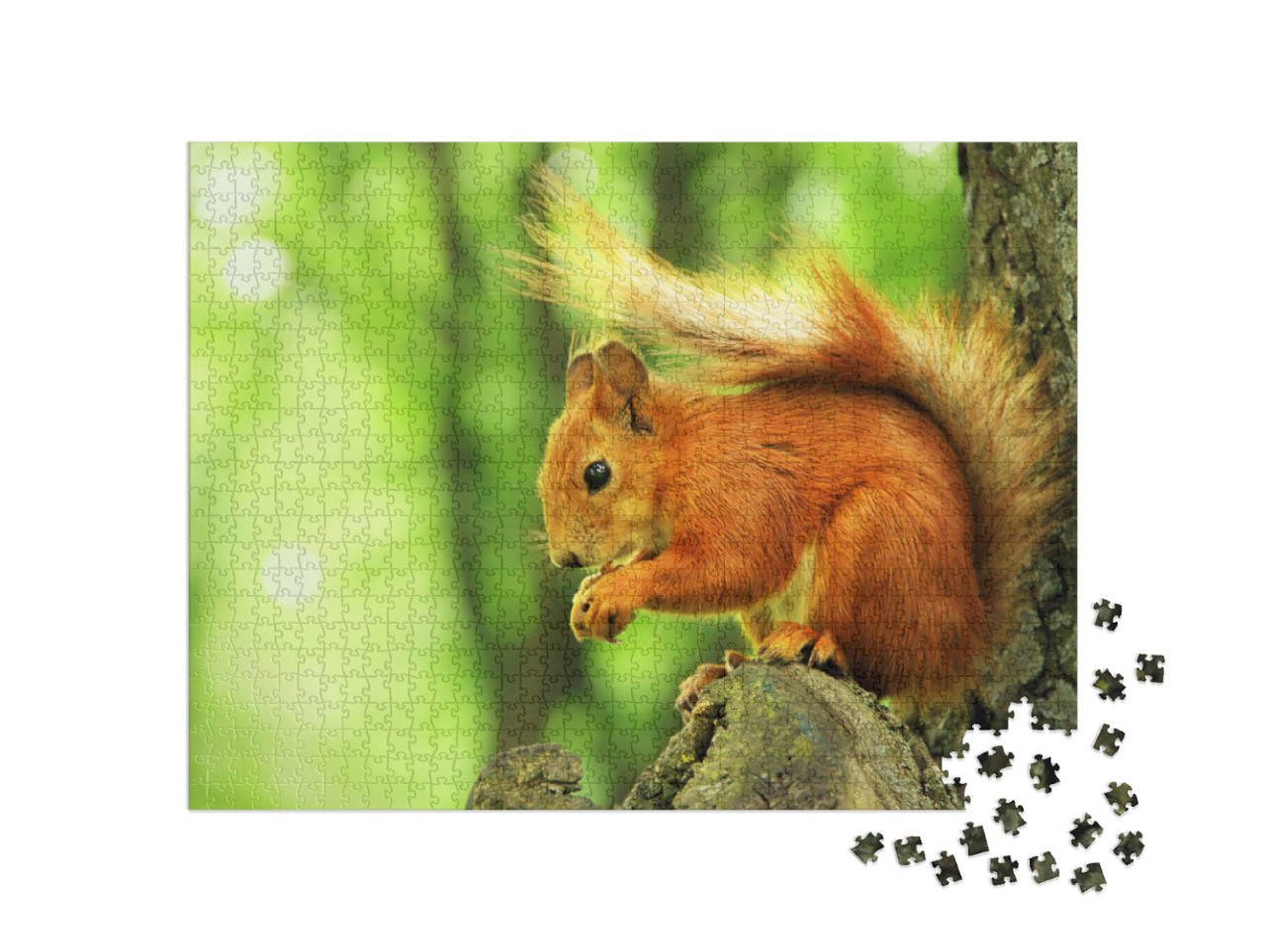 Puzzle de 1000 pièces « Bel écureuil rouge dans le parc »