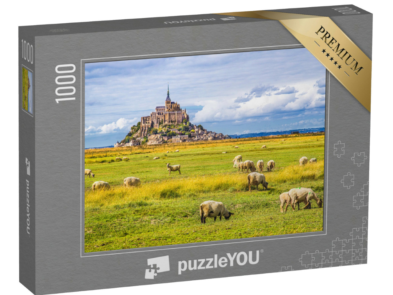 Puzzle de 1000 pièces « Le Mont Saint-Michel »
