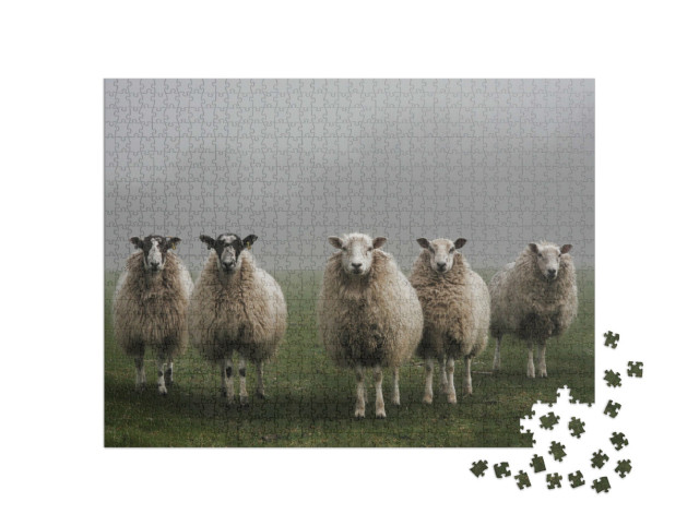 Puzzle de 1000 pièces « Cinq moutons dans un champ par un matin brumeux dans le Dorset »