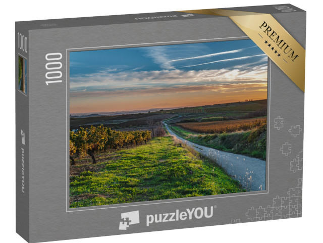 Puzzle de 1000 pièces « Vignoble du Languedoc-Roussillon traversé par une petite route au coucher du soleil »