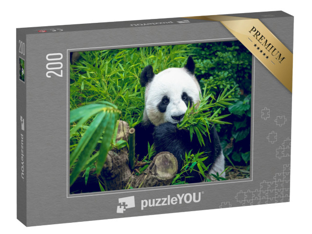 Puzzle de 200 pièces « Un panda géant affamé lors de son repas en bambou »