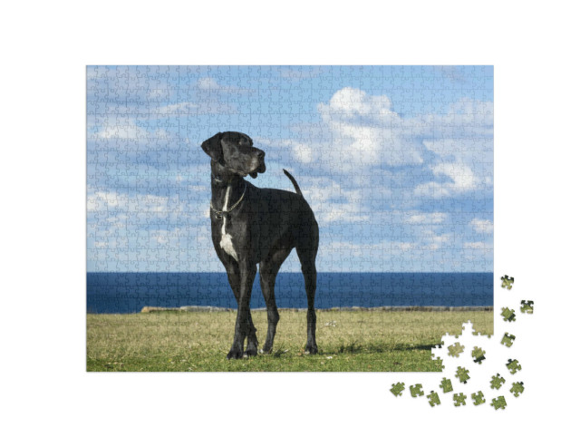 Puzzle de 1000 pièces « Dogue allemand à la mer »
