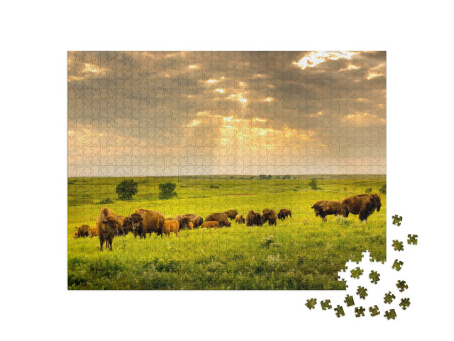 Puzzle de 1000 pièces « Un troupeau de bisons parcourt le Kansas »